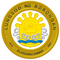 Borongan City